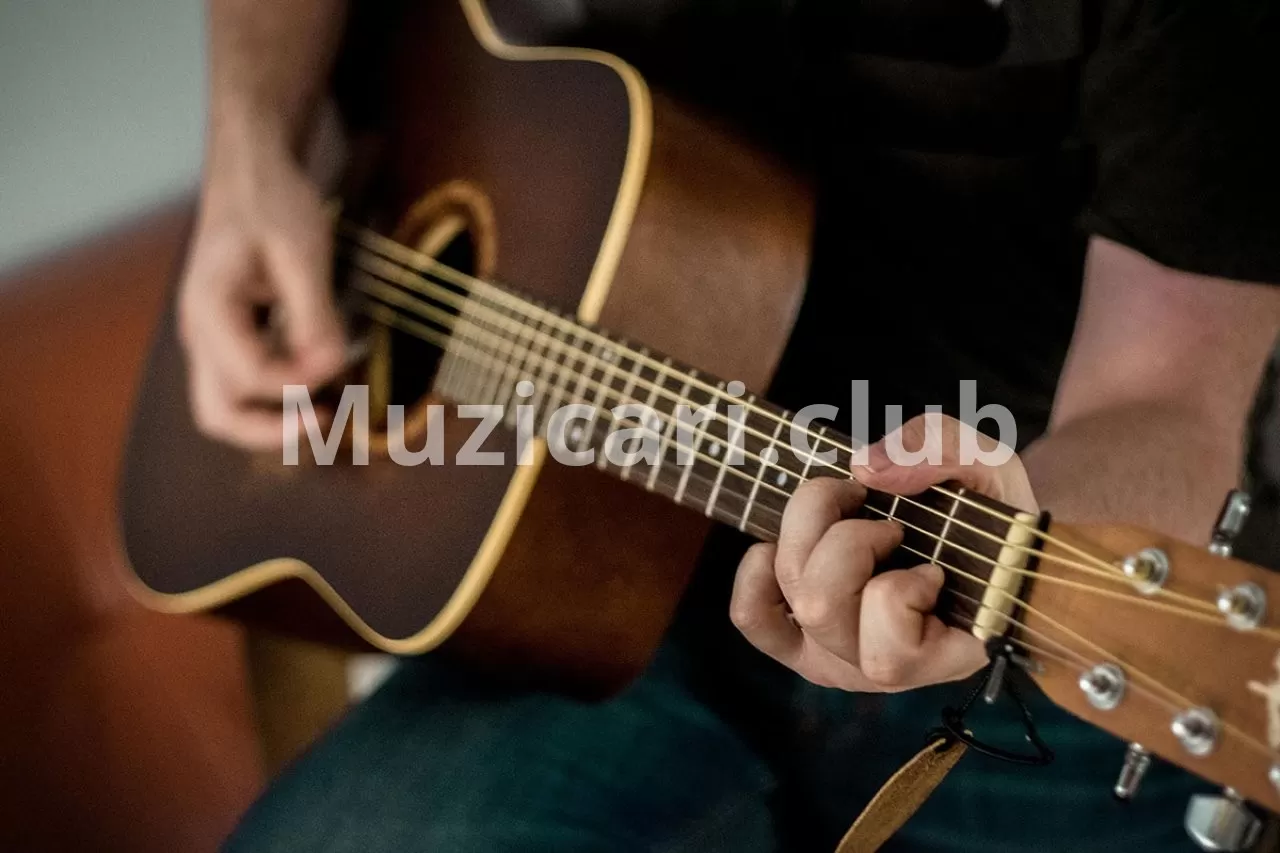 Kako izabrati prave žice za akustičnu gitaru: šta treba uzeti u obzir?