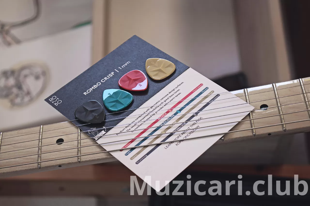 Kako izabrati prave žice za električnu gitaru: šta treba uzeti u obzir?