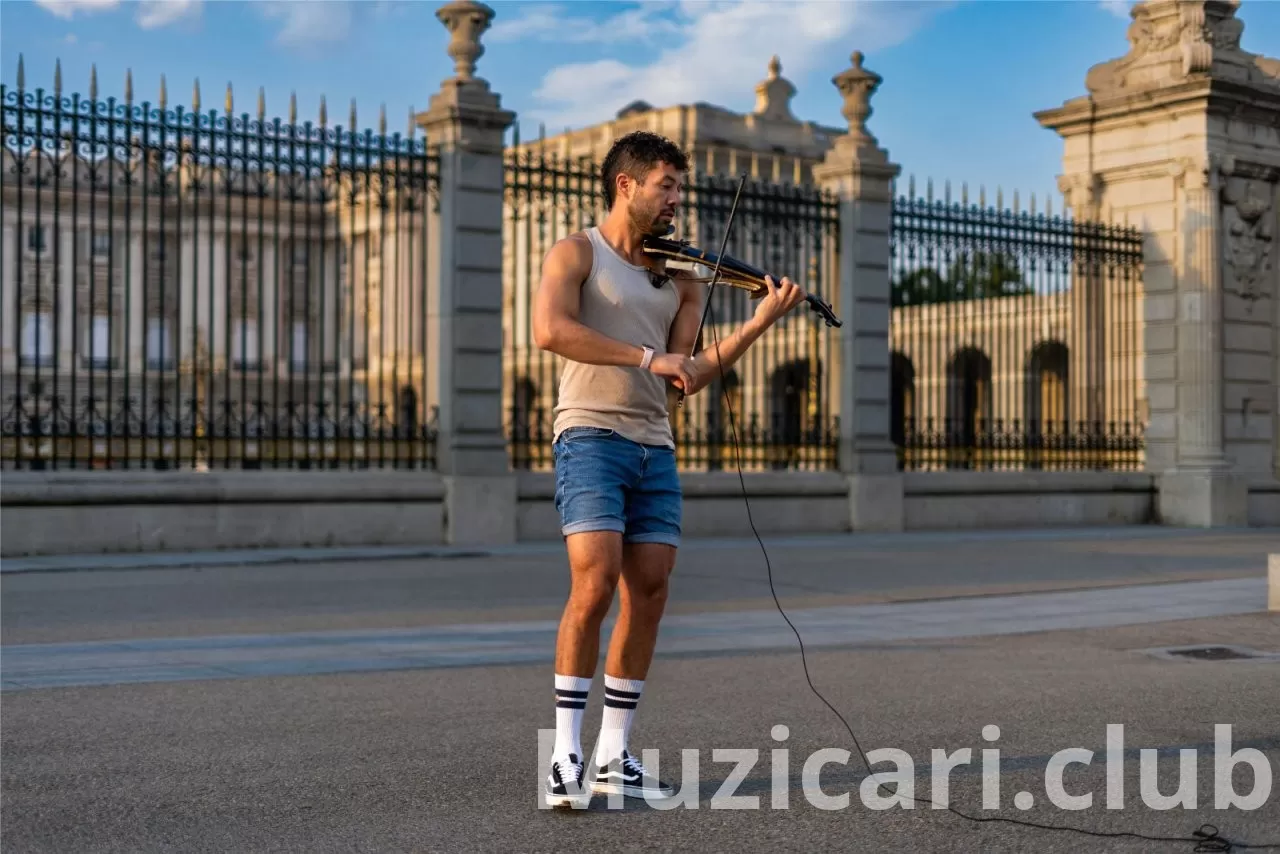Električne violine – spoj tradicije i moderne tehnologije