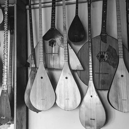 Tamburaški instrumenti