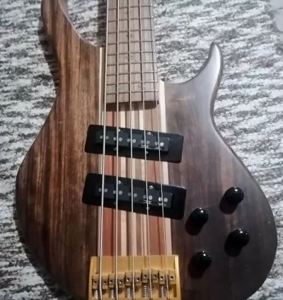 Vrhunski bas rađen kao lični projekat