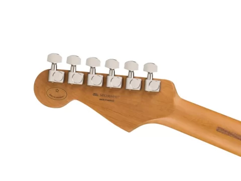 Fender Limited Edition Player Stratocaster RST Pau Ferro Black 3